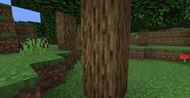 Image via Minecraft